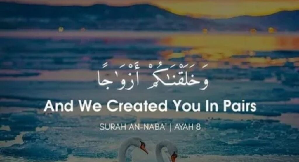 Quranic Verses for Wedding Anniversaries
